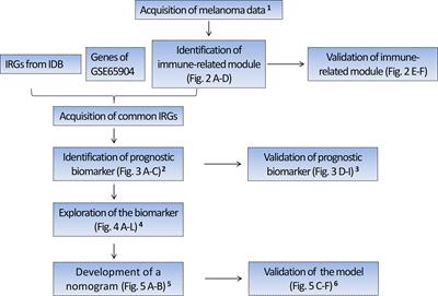 A Nomogram Combining a Four-Gene Biomarker and Clinical Factors for Predicting Survival of Melanoma